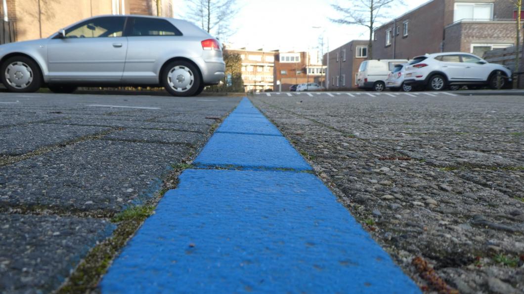 Blauwe zone in Bomenrijk, Diemen Zuid (foto: Jochem Douw)