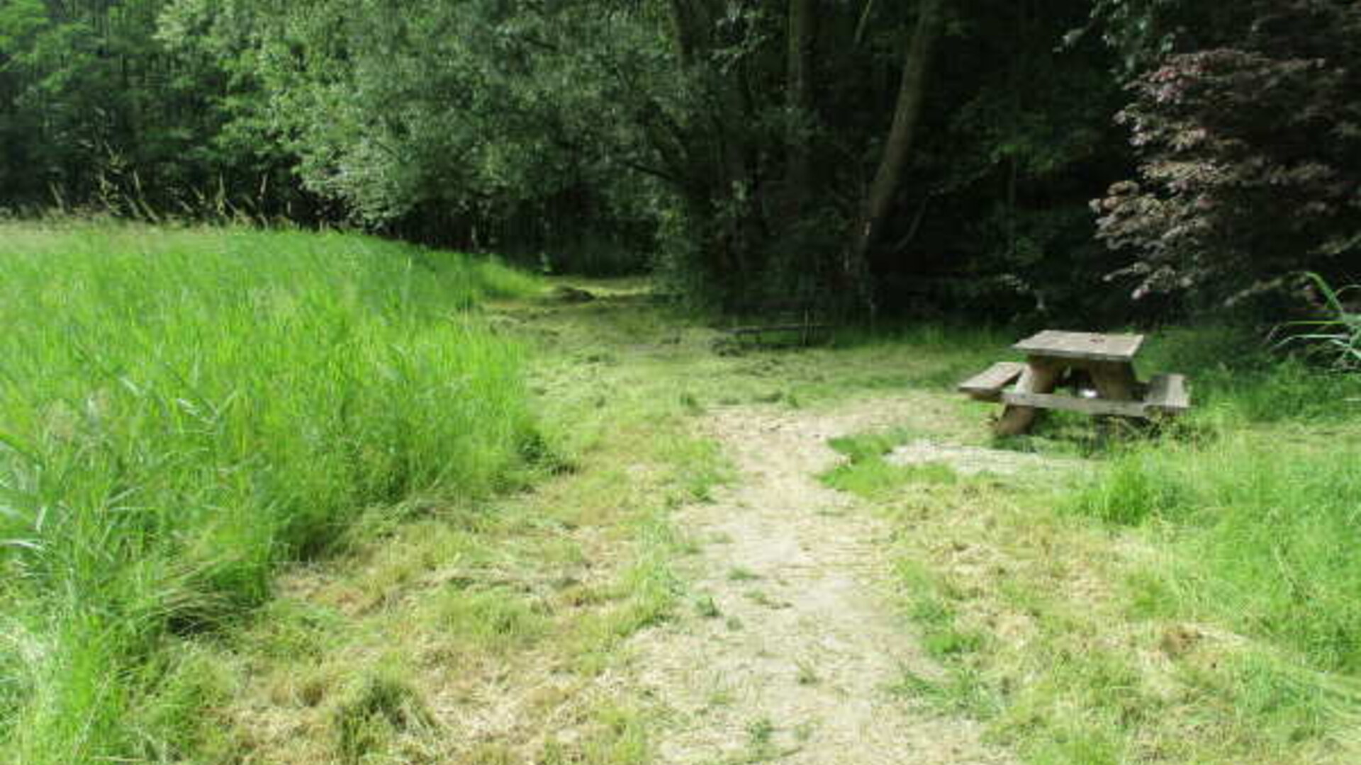 Natuurpark Spoorzicht