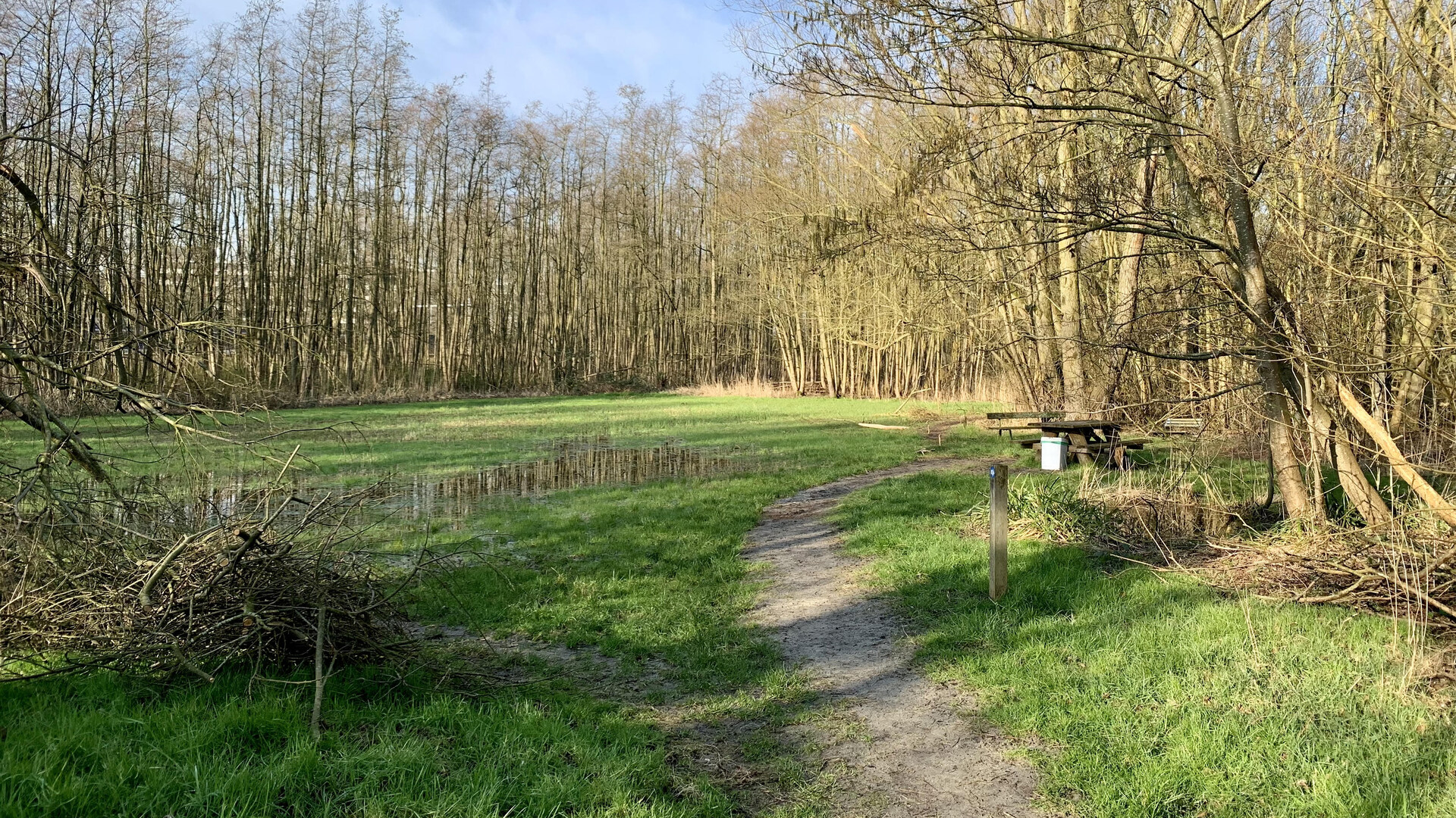 SpoortzichtFotoEgbertBouwhuis