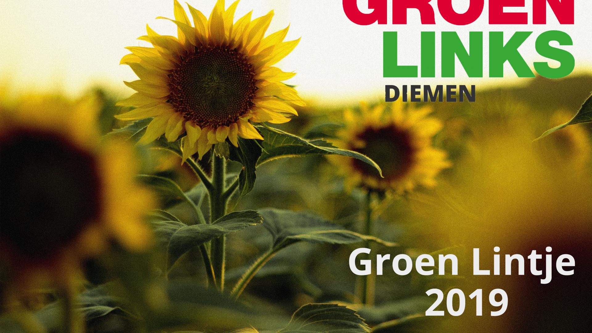 WIE IS DE GROENSTE DIEMENAAR 2019? (Foto: Sergiu Nista op Unsplash)