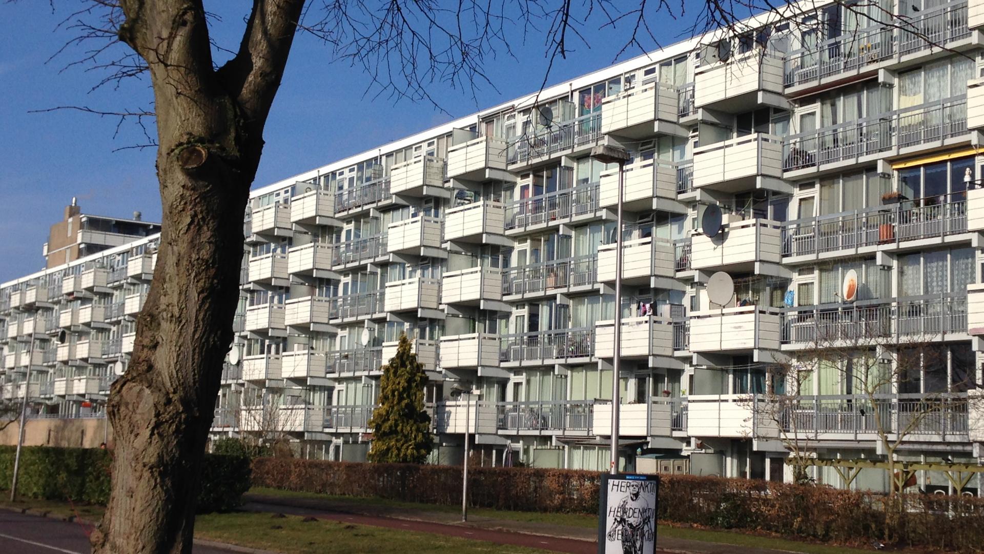 Flats Beukenhorst