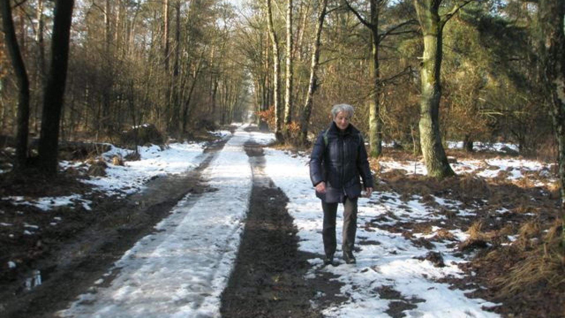 Monique wandelt in het bos