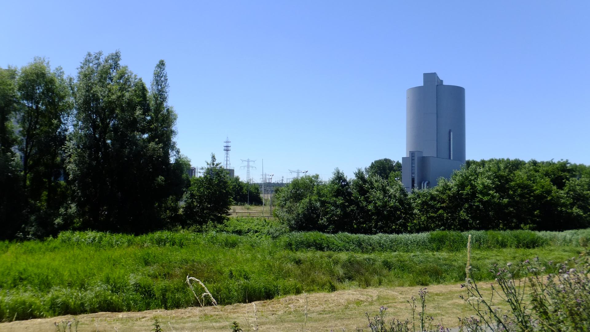 DSCF7698.JPG